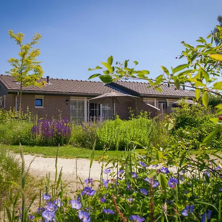 Recreatiepark De Boshoek Voorthuizen Exterior photo